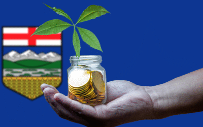 How to Start a Nonprofit in Alberta: Step-by-Step Guide With Digital Growth Tips