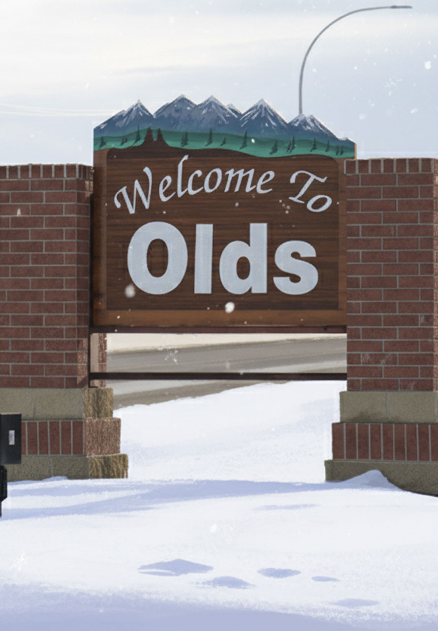 Web design in Olds Alberta